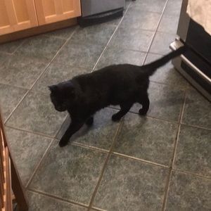 Meet your Posher, Sandy